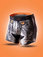 Boxer LION Microfibre 