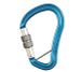 Carabiner Hector Screw BC  